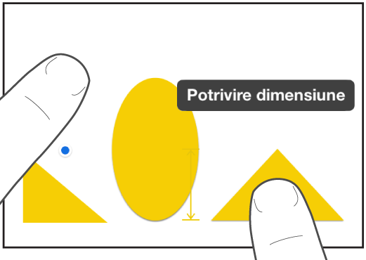 Un deget chiar deasupra unei forme și un altul ținând un obiect cu Potrivire dimensiune pe ecran.