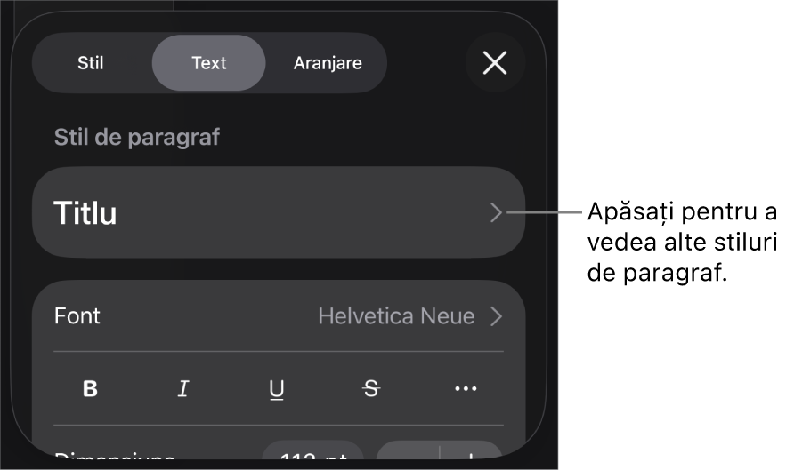 Meniul Format afișând comenzi de text pentru configurarea stilurilor, fonturilor, dimensiunii și culorii paragrafelor și caracterelor.