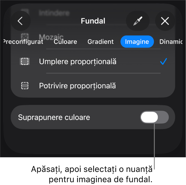 Comenzile Fundal cu o imagine configurată drept fundal al diapozitivului și comanda Suprapunere culoare în partea de jos.