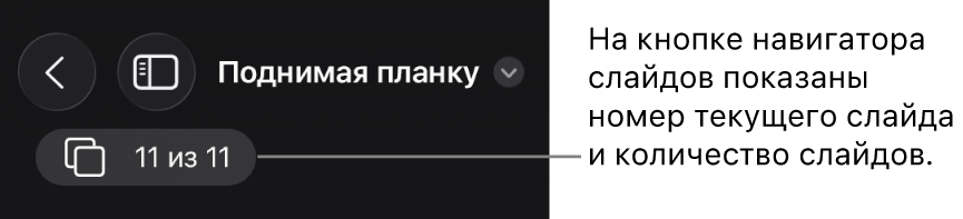 Кнопка навигатора слайдов. Отображается номер текущего слайда и общее количество слайдов в презентации.