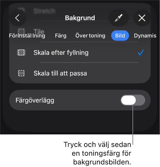 Bakgrundsreglagen med en bild inställd som diabildsbakgrund och reglaget Färgöverlägg längst ned.