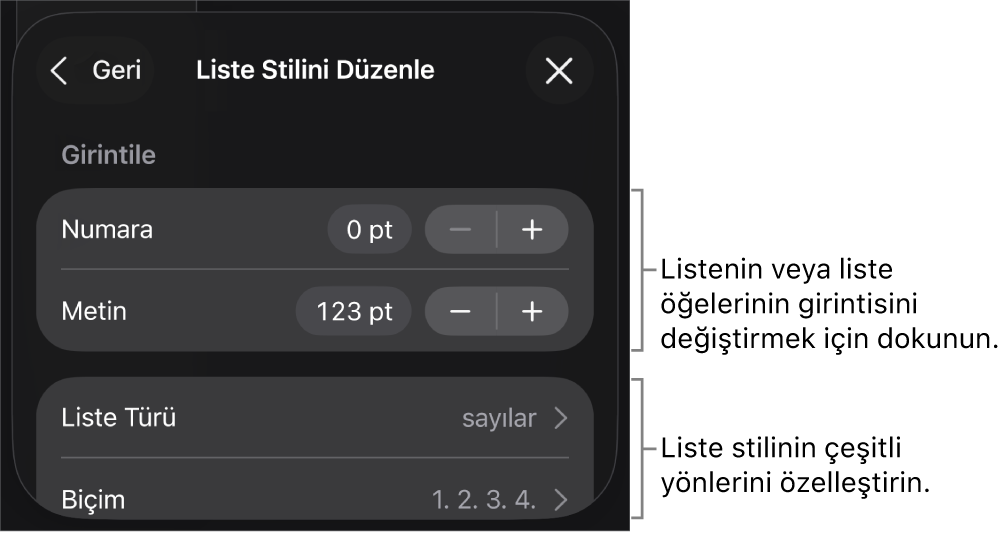 Listenin türünü ve görünüşünü düzenleme denetimleriyle Liste Stilini Düzenle menüsü.
