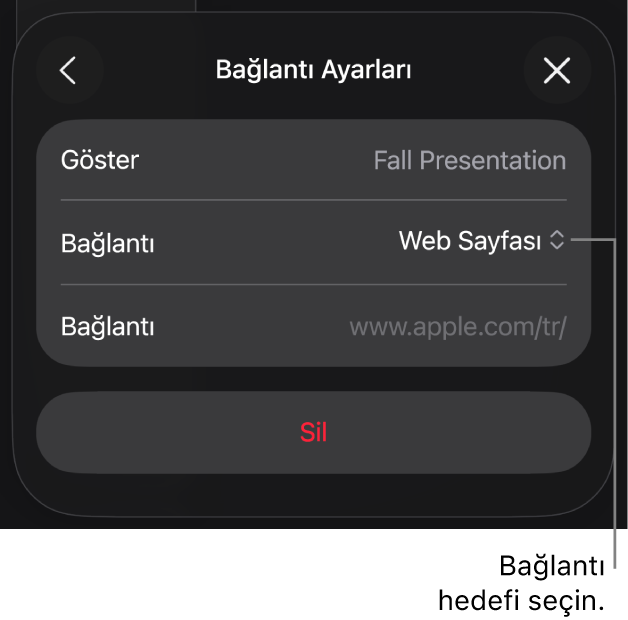 Bağlantı Ayarları denetimlerinde Web Sayfası seçili, en altta ise Sil düğmesi bulunuyor.