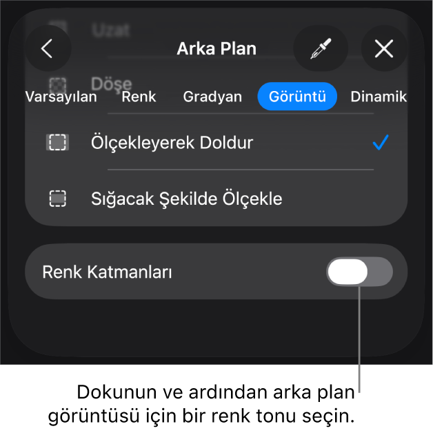 Arka Plan denetimleri, slayt arka planı olarak ayarlanmış bir görüntü ve en alttaki Renk Kaplama ile.