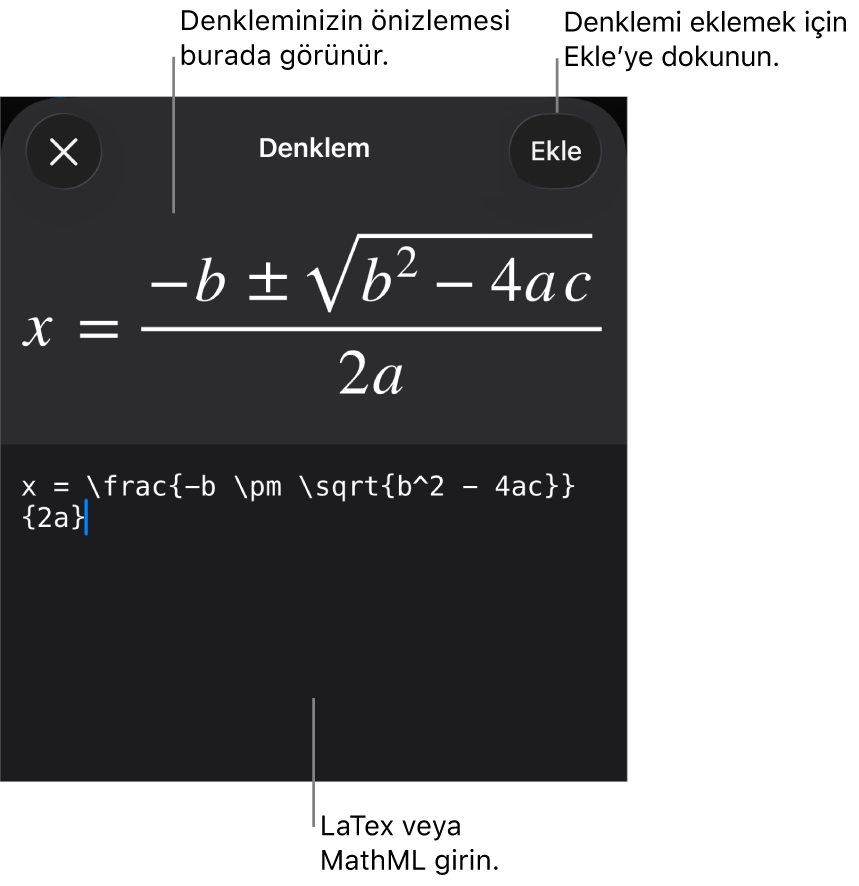 MathML komutları kullanılarak yazılmış bir denklemi ve onun üstünde formülün önizlemesini gösteren Denklem sorgu kutusu.