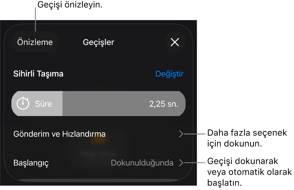 Geçişler bölümündeki Sihirli Taşıma denetimleri.