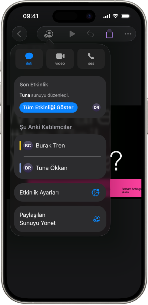 Sunuda ortak çalışan kişilerin adlarını gösteren ortak çalışma menüsü.