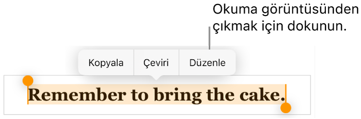 Bir cümle seçilir, üstünde Kopyala ve Düzen düğmeleri ile bağlamsal menü bulunur.