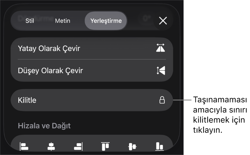 Kilitle düğmesi belirtilmiş olarak Biçim menüsündeki Yerleştir denetimleri.