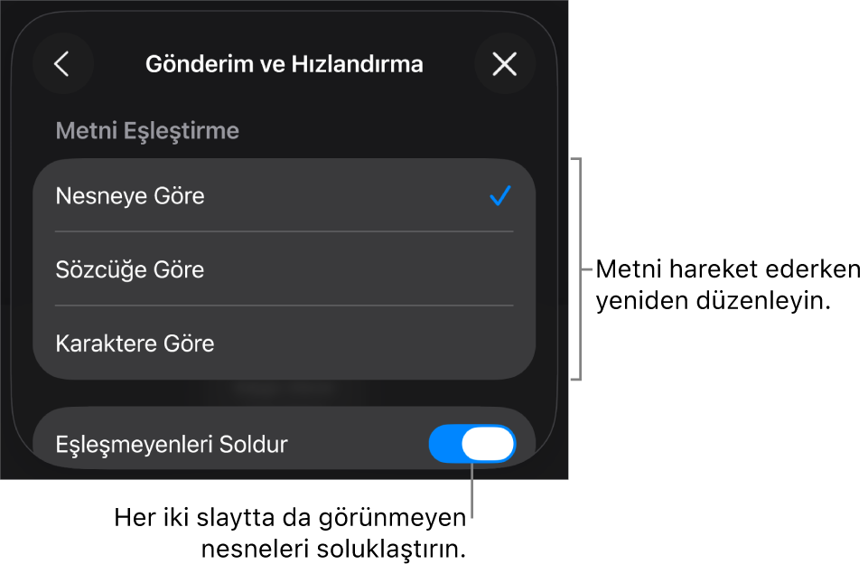 Hızlandırma bölümündeki Sihirli Taşıma gönderim ve hızlandırma seçenekleri.