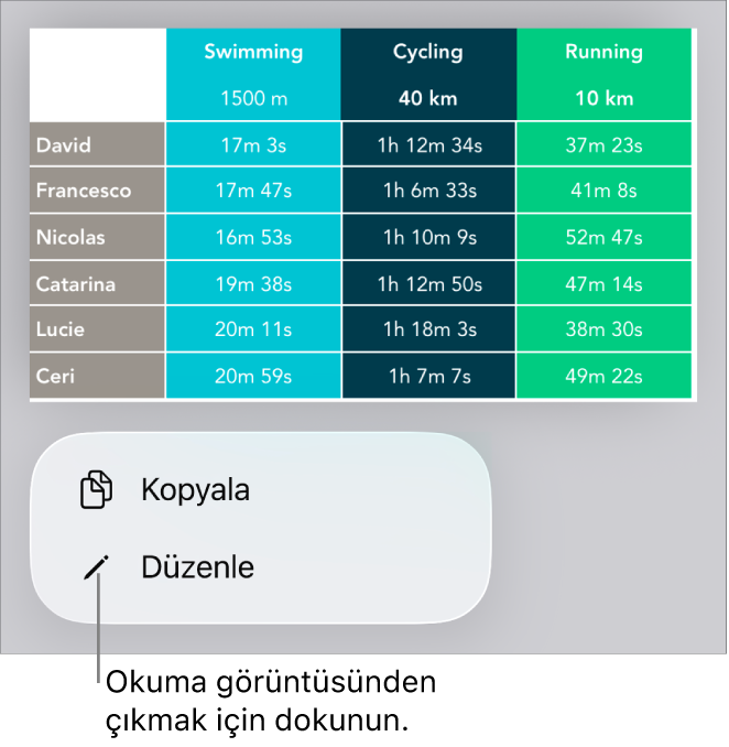 Bir tablo seçilir, altında Kopyala ve Düzen düğmeleri ile bir menü bulunur.