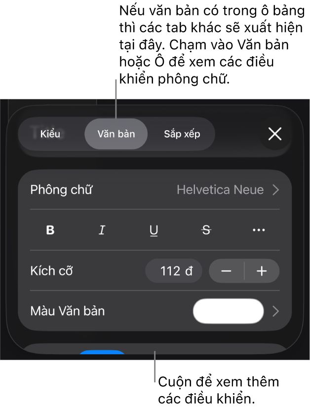Các điều khiển văn bản trong menu Định dạng để đặt kiểu, phông chữ, kích cỡ và màu của đoạn và ký tự.