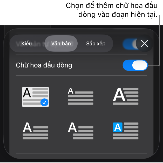 Các điều khiển Chữ hoa đầu dòng nằm trong menu Văn bản.