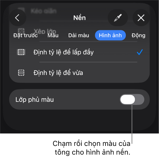 Các điều khiển Nền với hình ảnh được đặt dưới dạng nền trang chiếu và điều khiển Lớp phủ màu ở dưới cùng.