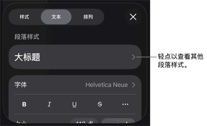 显示文本控制的“格式”菜单,用于设定段落和字符样式、字体、大小和颜色。