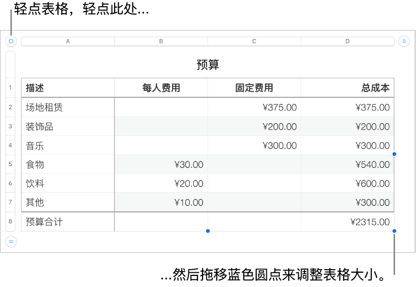 所选表格,含用于调整大小的蓝色圆点。