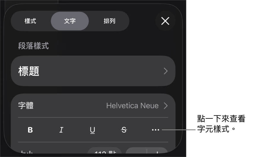 具備段落樣式的「格式」控制項目在最上方,然後是「字體」控制項目。「字體」下方為「粗體」、「斜體」、「底線」、「刪除線」和「更多文字選項」按鈕。