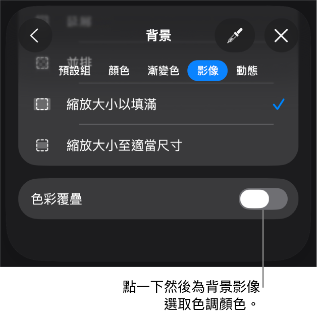 「背景」控制項目,其中一個影像已設定為投影片背景,且「色彩覆疊」控制項目位於底部。