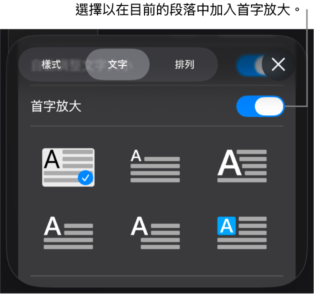 「首字放大」控制項目位於「文字」選單。