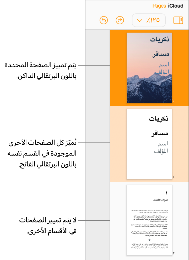 الصور المصغرة للصفحات في الشريط الجانبي الأيمن، مع تمييز الصفحة المحدّدة باللون البرتقالي الداكن وصفحة أخرى في نفس القسم باللون البرتقالي الفاتح. صفحة في قسم مختلف لا تحتوي على أي تمييز خلفها.