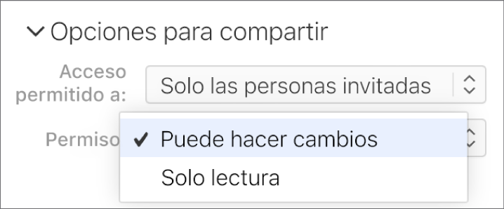 El menú emergente Permisos situado debajo de “Opciones para compartir” está abierto, con opciones que permiten que otras personas hagan cambios en el documento o que solo puedan verlo.