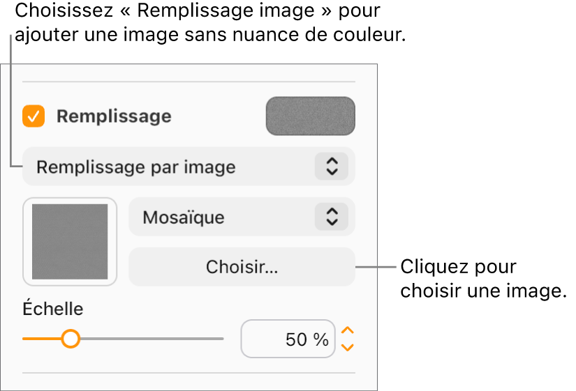 La case Remplissage est cochée dans la barre latérale et l’option Remplissage image est sélectionnée dans le menu local situé sous la case à cocher. Les commandes permettant de choisir l’image, la façon dont elle remplit l’objet et son échelle s’affichent sous le menu local. Un aperçu du remplissage de l’image apparaît dans un carré une fois qu’une image est choisie.