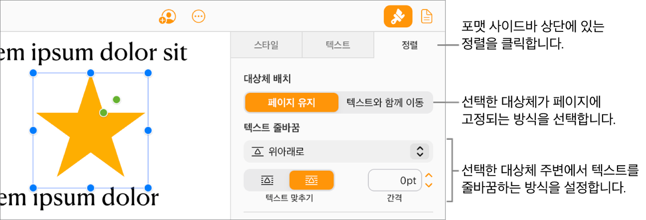 문서 본문에서 이미지가 선택되어 있으며, 포맷 사이드바의 정렬 탭은 대상체가 대상체 위 및 아래의 텍스트 둘러싸기와 함께 페이지 유지로 설정되어 있음을 보여 줍니다.