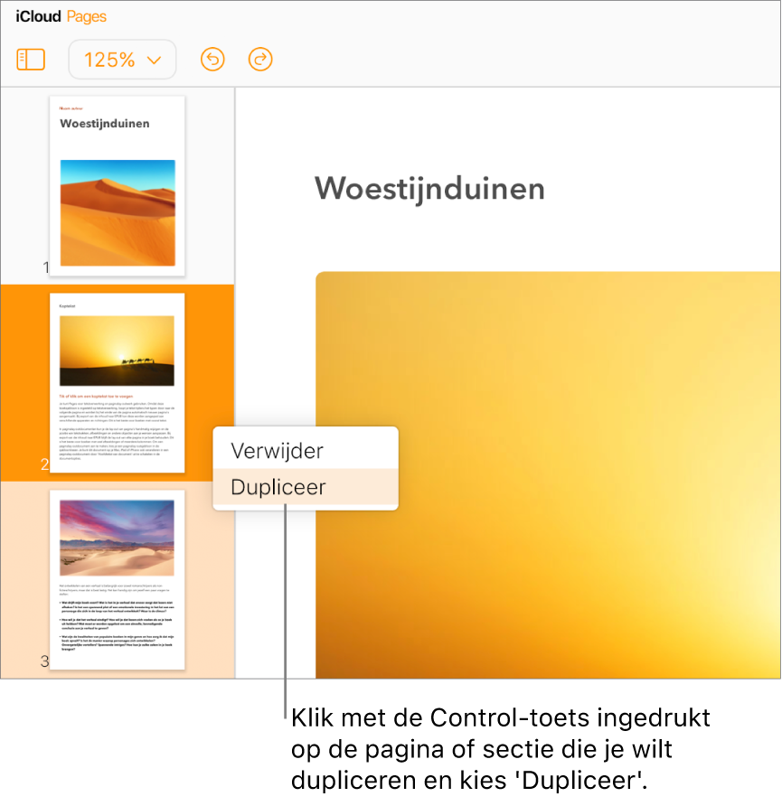 Paginaminiaturen voor een tekstverwerkingsdocument met meerdere pagina's in de navigatiekolom aan de linkerkant; de geselecteerde pagina is donkeroranje gemarkeerd, terwijl één andere pagina binnen dezelfde sectie lichtoranje is gemarkeerd. Een pop‑upmenu met opties voor het verwijderen of dupliceren van de geselecteerde sectie.