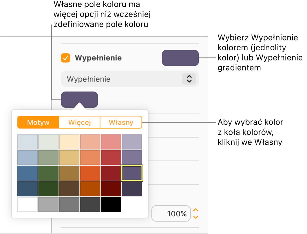 W menu podręcznym pod polem wyboru Wypełnienie jest wybrana opcja Wypełnienie kolorem, a pod menu podręcznym widoczne jest pole koloru z dodatkowymi opcjami wypełniania kolorem.