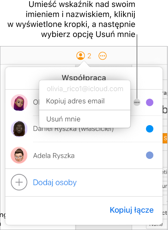 Otwarte menu Współpraca z klikniętym przyciskiem Więcej po prawej stronie pierwszego uczestnikiem oraz dostępna opcja Usuń mnie.