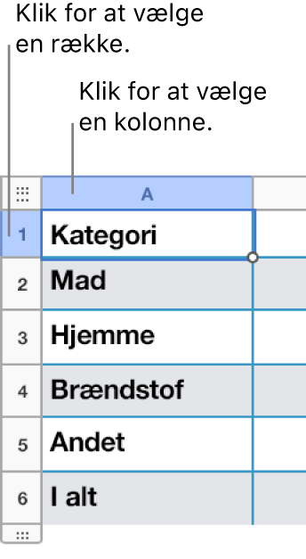 En valgt tabelrække med billedtekster til række- og kolonnemarkeringerne.