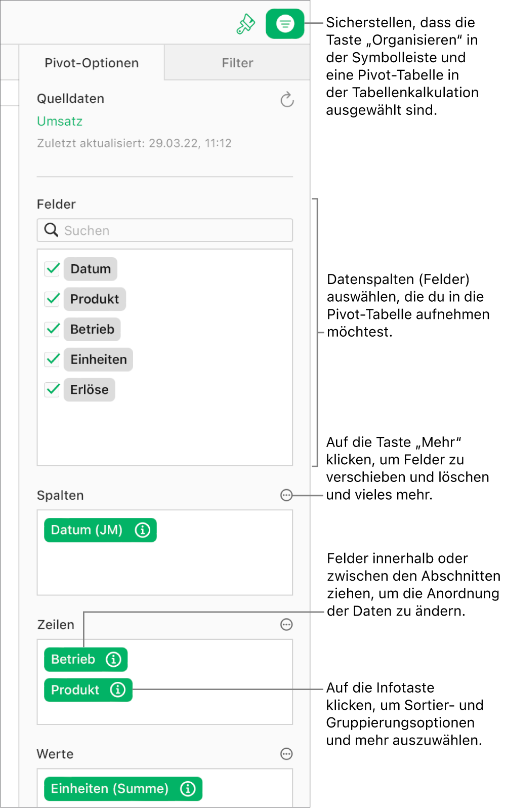 Der Tab „Pivot-Optionen“ in der Seitenleiste „Organisieren“. Es werden Felder in den Abschnitten „Spalten“, „Zeilen“ und „Werte“ angezeigt sowie die Infotaste und die Taste „Mehr“, um die Felder zu bearbeiten und die Pivot-Tabelle zu aktualisieren.