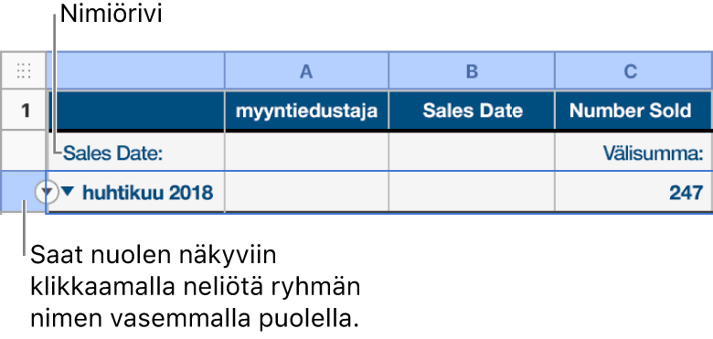 Kategorisoidun taulukon yhteenvetorivi on valittuna ja sen reunuksessa näkyy alanuoli. Yhteenvetorivin yläpuolella olevalla nimiörivillä näytetään kategorian nimi ryhmän nimen yläpuolella sekä funktion nimi (Välisumma) kolmannessa sarakkeessa.