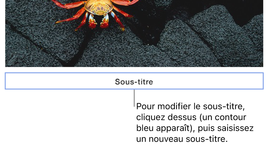 Le sous-titre fictif « Sous-titre » s’affiche sous une photo. Un contour bleu autour du champ de sous-titre montre qu’il est sélectionné.