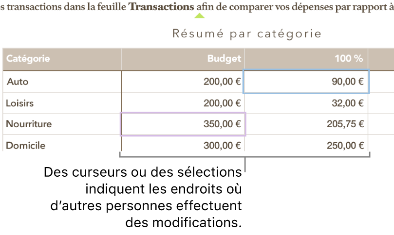 Curseurs et sélections de cellules du tableau dans des couleurs différentes indiquant les emplacements où les autres utilisateurs effectuent des modifications dans une feuille de calcul partagée.