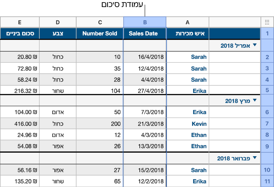 טבלה עם נתונים על מכירת חולצות בסיווג לפי תאריך המכירה; שורות הנתונים מקובצות לפי חודש ושנה (הערכים המשותפים בעמודת המקור).