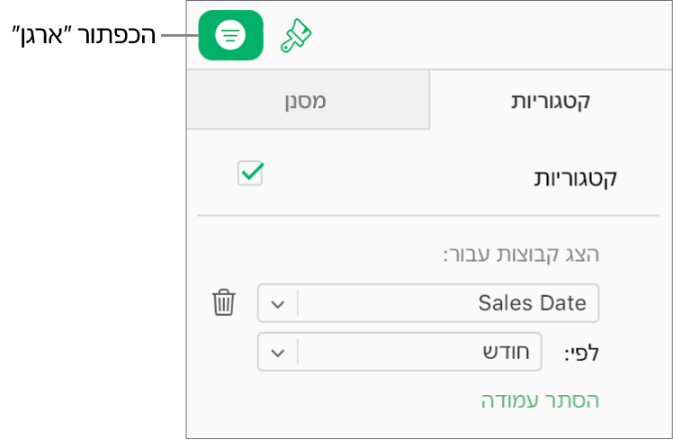 הכפתור ״ארגן״ נבחר בסרגל הכלים, והכללים שמתארים קטגוריה מופיעים בלשונית ״קטגוריות״ בסרגל הצד ״ארגן״. הנתונים מאורגנים כרגע לפי ״תאריך המכירה״ ואחר כך מקובצים לפי חודש.