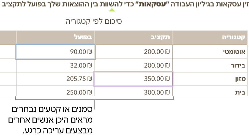 סמנים וקטעים נבחרים של תאי טבלה בצבעים שונים שמראים היכן אחרים עורכים בגיליון עבודה משותף.