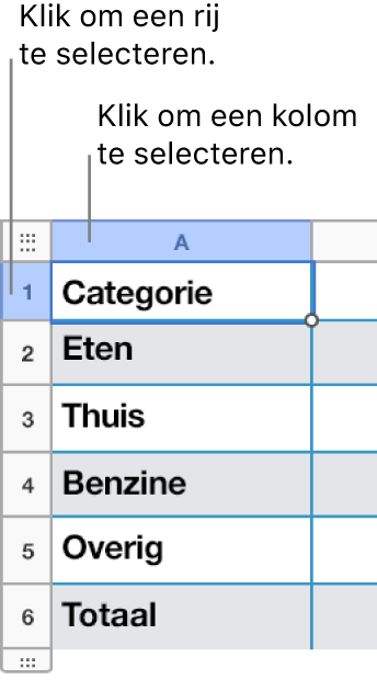 Een geselecteerde tabelrij met bijschriften voor de rij- en kolomselecties.