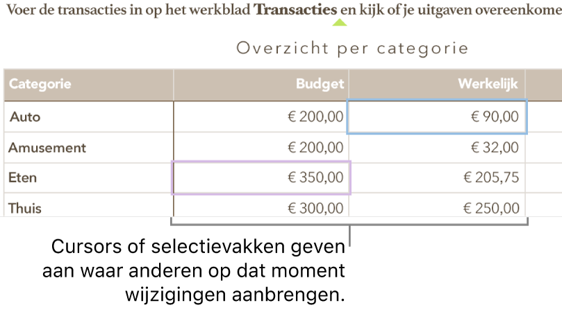 Aanwijzers en tabelcelselecties geven in verschillende kleuren aan waar anderen wijzigingen aanbrengen in een gedeelde spreadsheet.