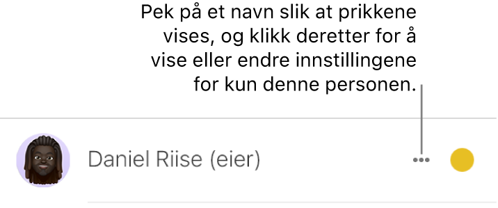 De tre prikkene ved siden av navnet i deltakerlisten.