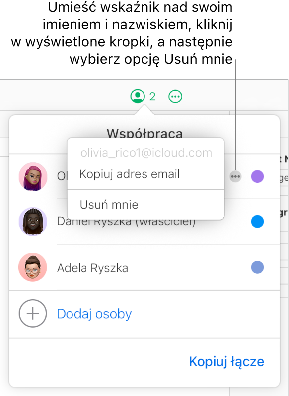 Otwarte menu Współpraca z klikniętym przyciskiem Więcej po prawej stronie pierwszego uczestnikiem oraz dostępna opcja Usuń mnie.