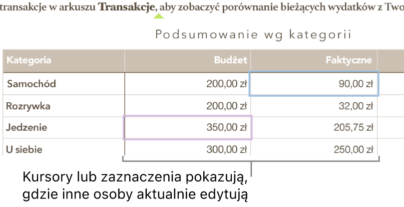 Kursory i zaznaczenia w różnych kolorach w komórkach tabeli wskazują miejsca edytowane przez innych użytkowników udostępnionego arkusza kalkulacyjnego.