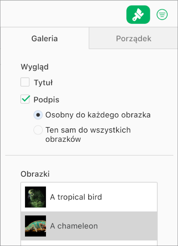 Menu podręczne Galeria na pasku bocznym Format. Zaznaczone jest pole wyboru Podpisy i dostępne są opcje osobnych podpisów dla każdego obrazka lub tego samego podpisu dla wszystkich obrazków. Poniżej narzędzi znajdują się miniaturki każdego obrazka z podpisem po prawej stronie.