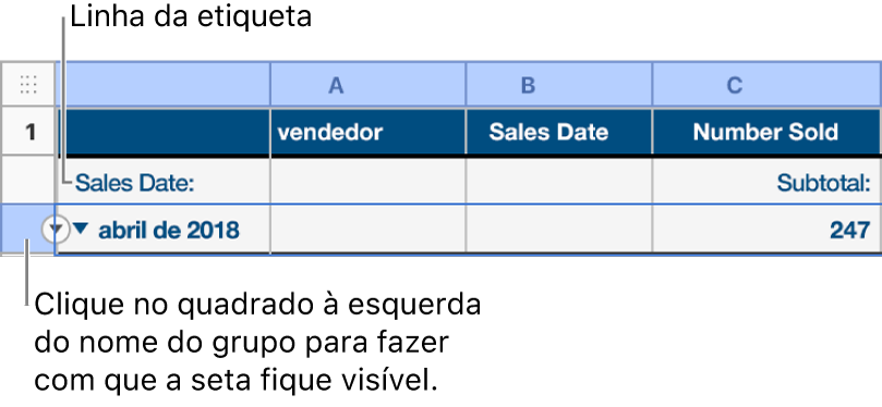 A linha de resumo está selecionada numa tabela categorizada e aparece uma seta para baixo na sua borda; a linha de etiqueta por cima da linha de resumo mostra o nome da categoria sobre o nome do grupo e o nome de uma função, Subtotal, na terceira coluna.