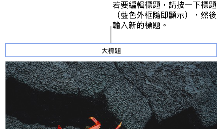 暫存區標題「標題」出現在照片上方;標題欄位周圍顯示藍色外框,代表已選取。