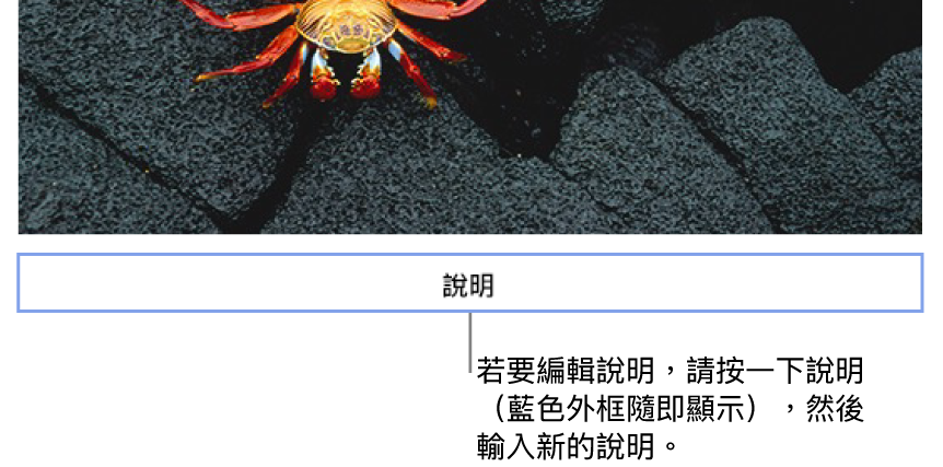 暫存區說明「說明」出現在照片下方;說明欄位周圍顯示藍色外框,代表已選取。