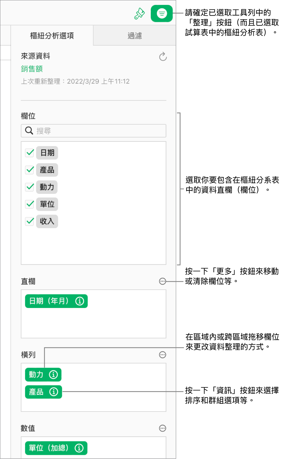 「整理」側邊欄的「樞紐分析選項」標籤頁,顯示「直欄」、「橫列」及「數值」區域的欄位,以及可用於編輯欄位和重新整理樞紐分析表的「資訊」與「更多」按鈕。