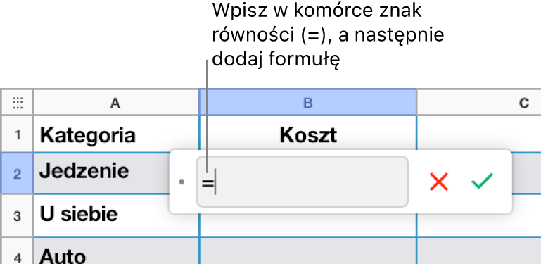Edytor formuł ze znakiem = i bez wprowadzonej formuły.