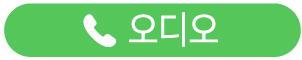 음성 통화 버튼